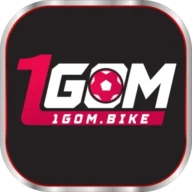 1gom.support favicon