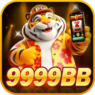 9999bb.com.br favicon