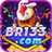 br133.org favicon