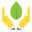 cherkasy.name favicon