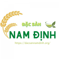 dacsannamdinh.org favicon