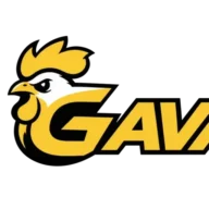 gavangtv.llc favicon