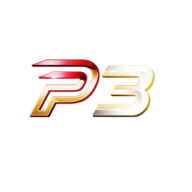 p3p.live favicon