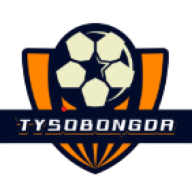 tysobongda.club favicon