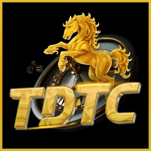 vn-tdtc.net favicon