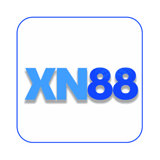 xn88bon.com favicon